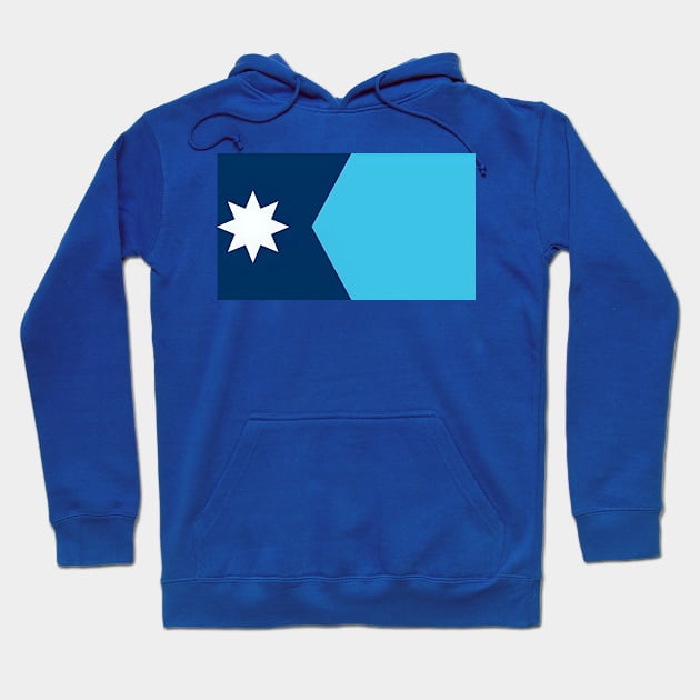 Minnesota State Flag Hoodie by Rogue Clone